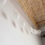 Oasis 公寓